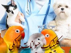دامپزشک خوب در تبریز