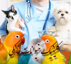 دامپزشک خوب در تبریز